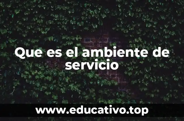 Que es el ambiente de servicio