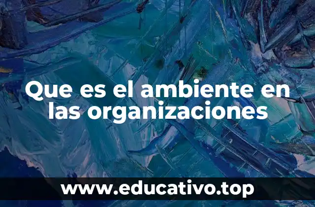 Que es el ambiente en las organizaciones