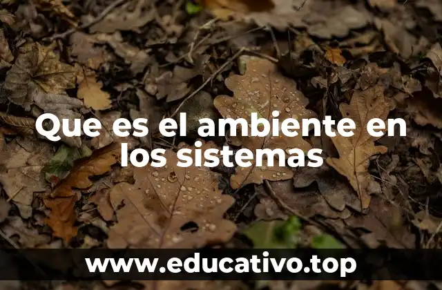 Que es el ambiente en los sistemas