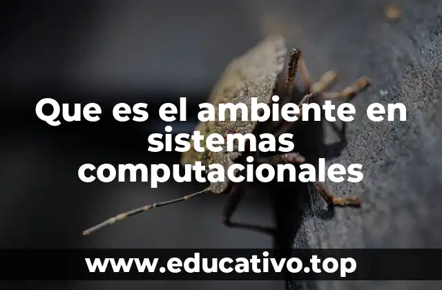 Que es el ambiente en sistemas computacionales
