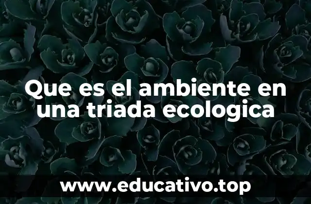 Que es el ambiente en una triada ecologica