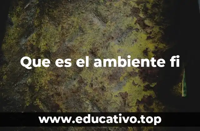 Que es el ambiente fi