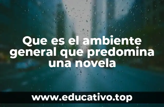 Que es el ambiente general que predomina una novela