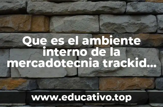 Que es el ambiente interno de la mercadotecnia trackid sp-006