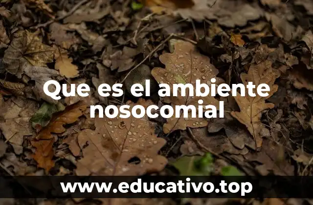 Que es el ambiente nosocomial