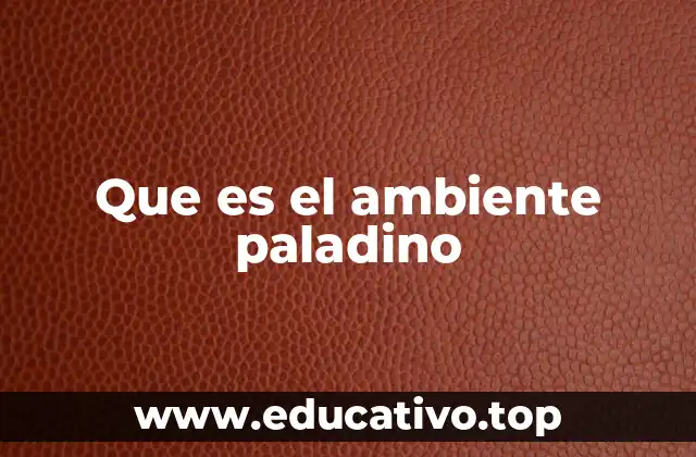 Que es el ambiente paladino