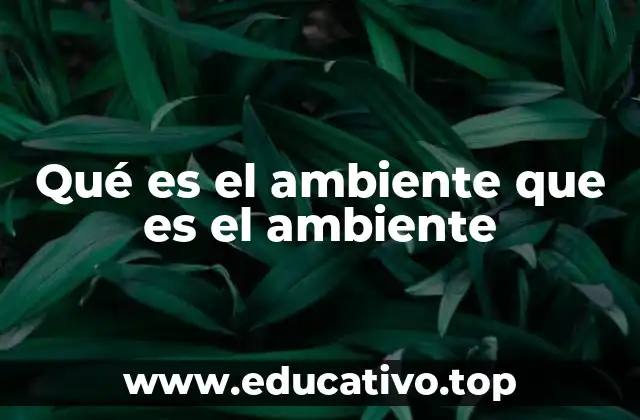 Qué es el ambiente que es el ambiente