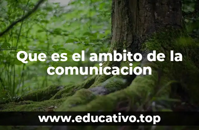 Que es el ambito de la comunicacion