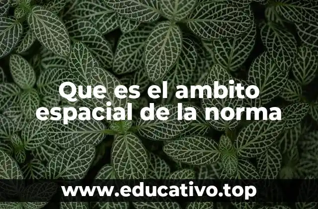 Que es el ambito espacial de la norma