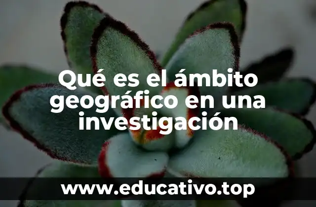 Qué es el ámbito geográfico en una investigación