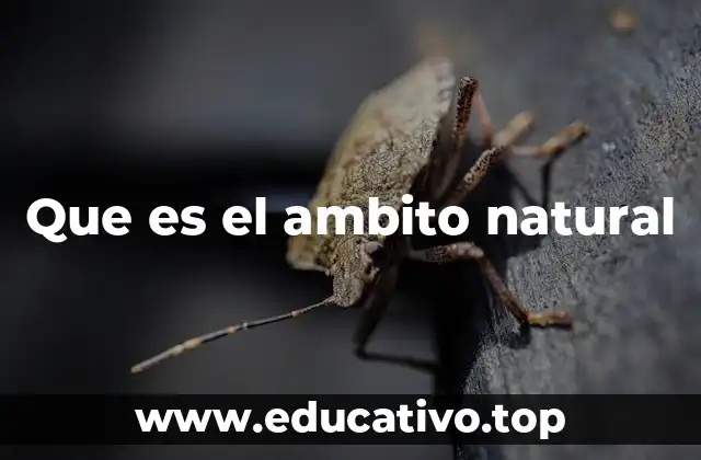 Que es el ambito natural