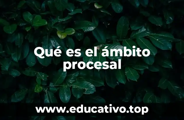 Qué es el ámbito procesal