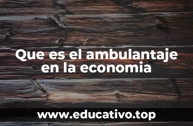 Que es el ambulantaje en la economia