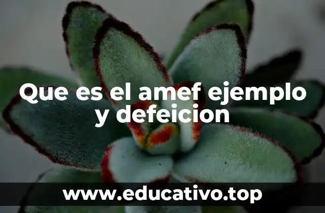 Que es el amef ejemplo y defeicion