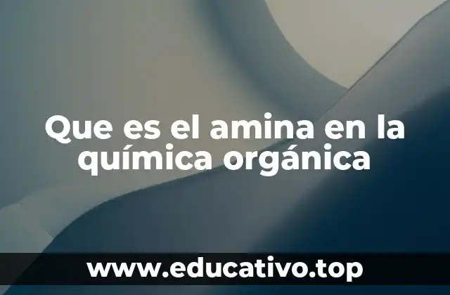 Que es el amina en la química orgánica