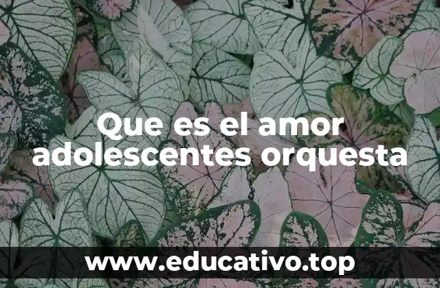 Que es el amor adolescentes orquesta