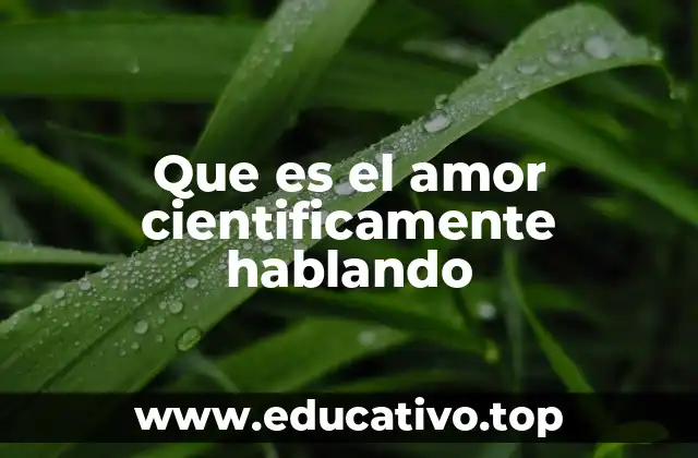Que es el amor cientificamente hablando
