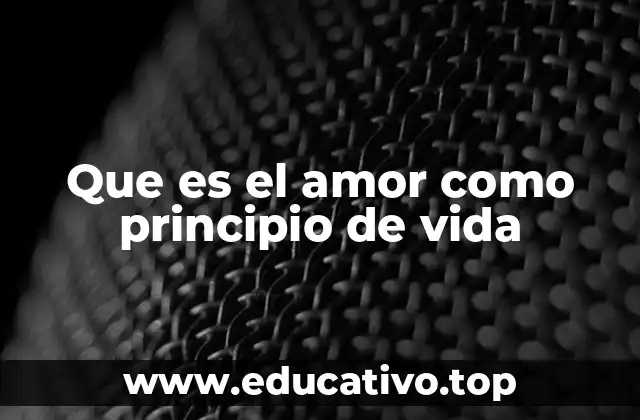 Que es el amor como principio de vida