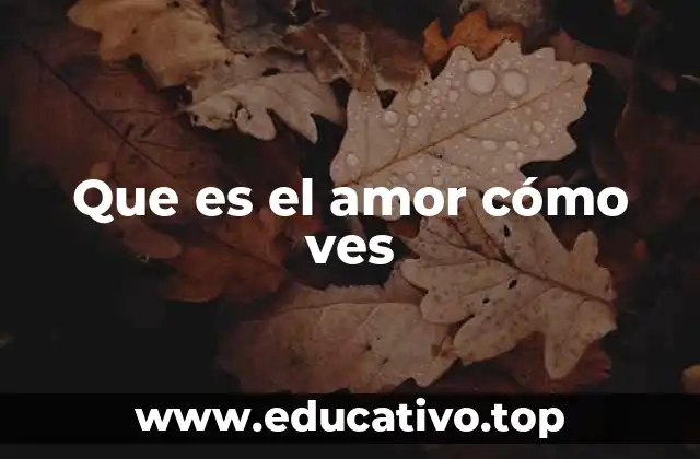 La percepción del amor en diferentes etapas de la vida