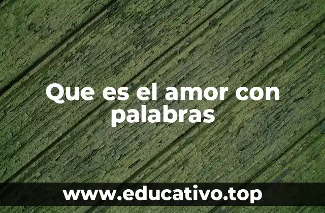 Que es el amor con palabras