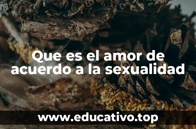 Que es el amor de acuerdo a la sexualidad