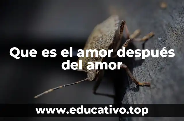Que es el amor después del amor