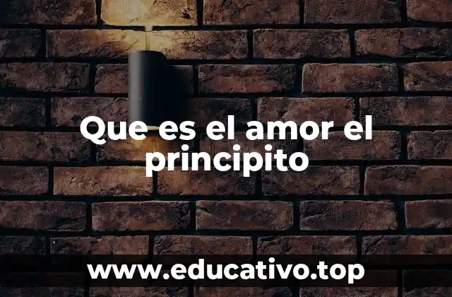 Que es el amor el principito