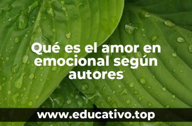 Qué es el amor en emocional según autores
