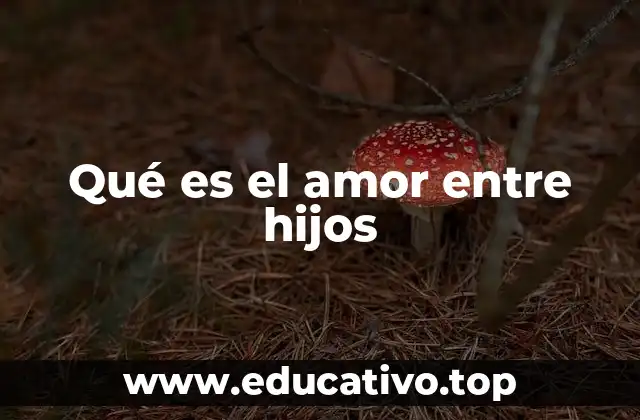 Qué es el amor entre hijos