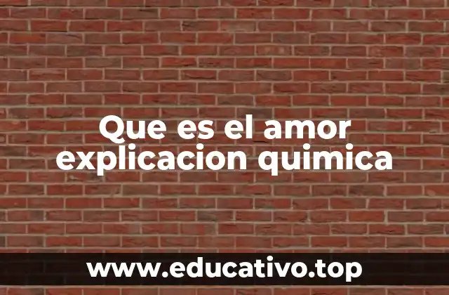 Que es el amor explicacion quimica