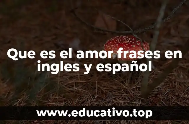 Que es el amor frases en ingles y español