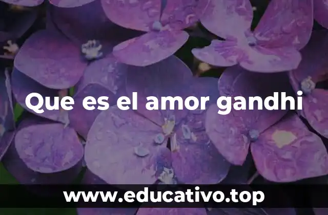 Que es el amor gandhi