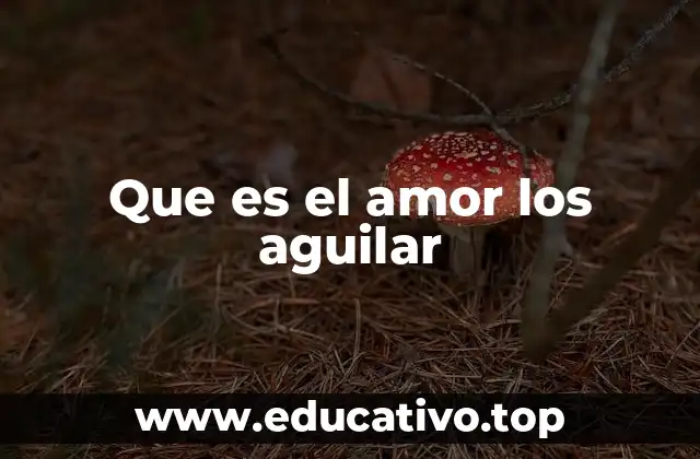 Que es el amor los aguilar