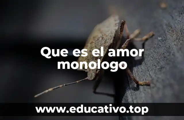 Que es el amor monologo