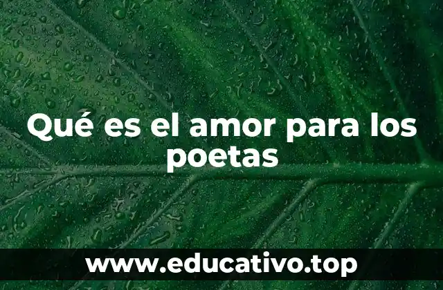 El amor en la poesía: un reflejo del alma humana