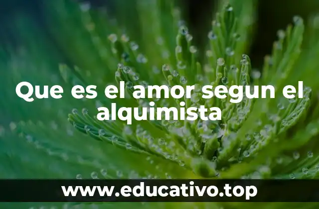 Que es el amor segun el alquimista