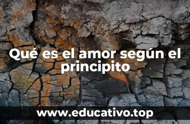 Qué es el amor según el principito
