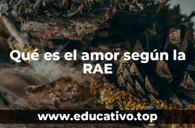 Qué es el amor según la RAE