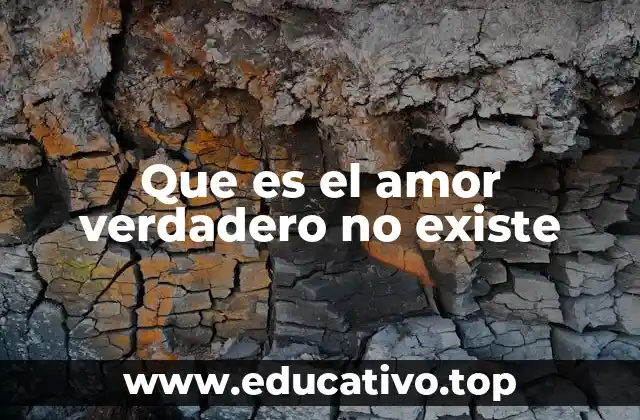 Que es el amor verdadero no existe