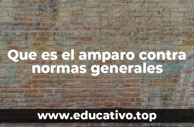 Que es el amparo contra normas generales