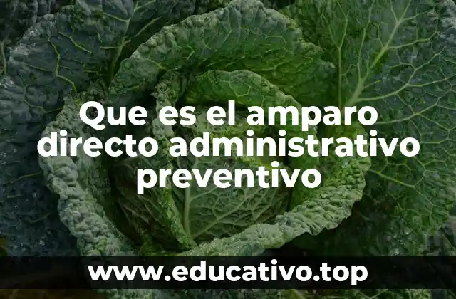 Que es el amparo directo administrativo preventivo