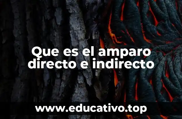 Que es el amparo directo e indirecto