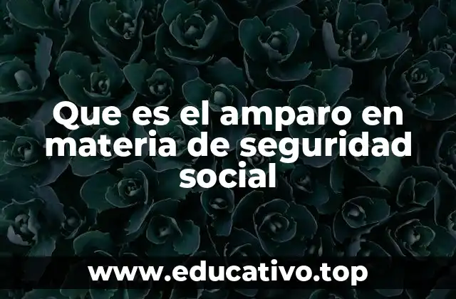 Que es el amparo en materia de seguridad social