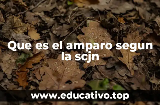 Que es el amparo segun la scjn