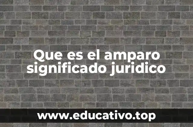 Que es el amparo significado juridico