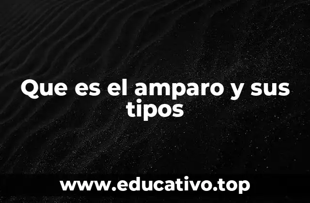 Que es el amparo y sus tipos