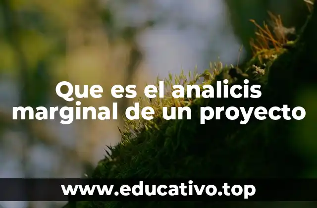Que es el analicis marginal de un proyecto