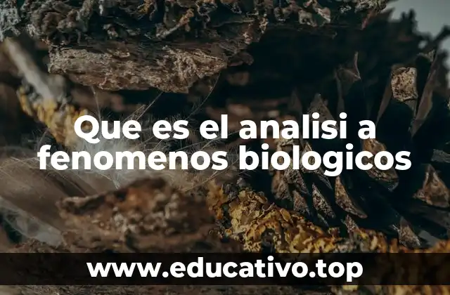 Que es el analisi a fenomenos biologicos