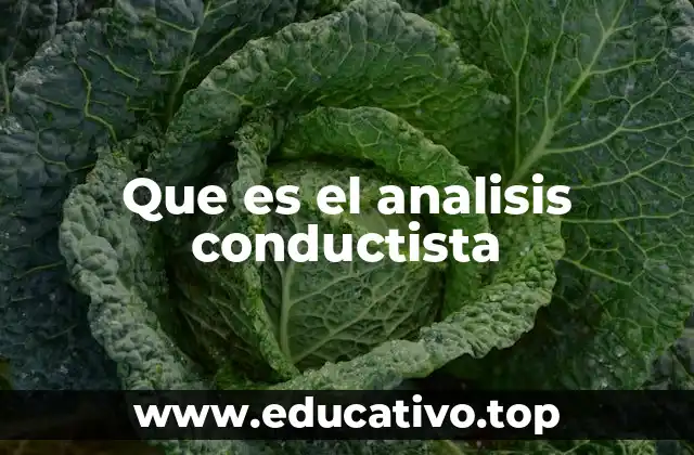 Que es el analisis conductista