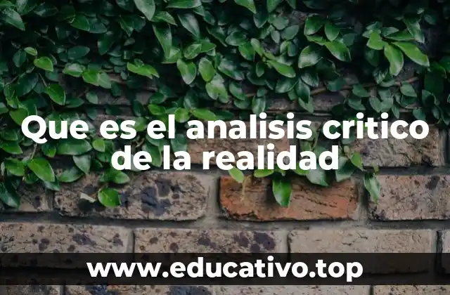 Que es el analisis critico de la realidad